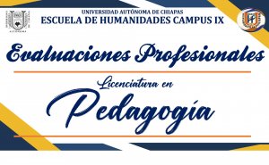 Evaluaciones Profesionales de la Escuela de Humanidades Campus IX
